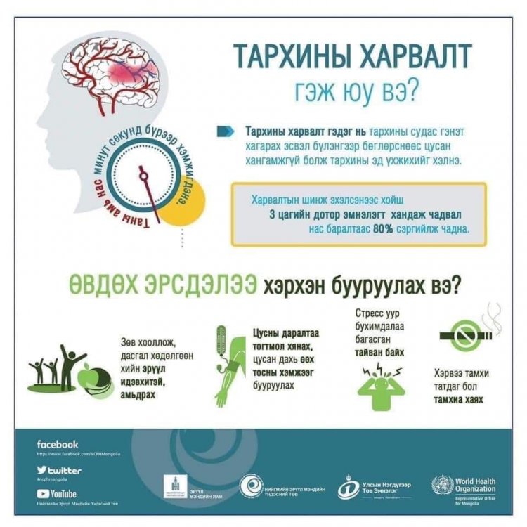 Тархины харвалтаас сэргийлцгээе