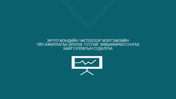 ЭРҮҮЛ МЭНДИЙН ЧИГЛЭЛЭЭР МЭРГЭЖЛИЙН ҮЙЛ АЖИЛЛАГАА ЭРХЛЭХ ТУСГАЙ ЗӨВШӨӨРӨЛ СУНГАХ БАЙГУУЛЛАГЫН СУДАЛГАА