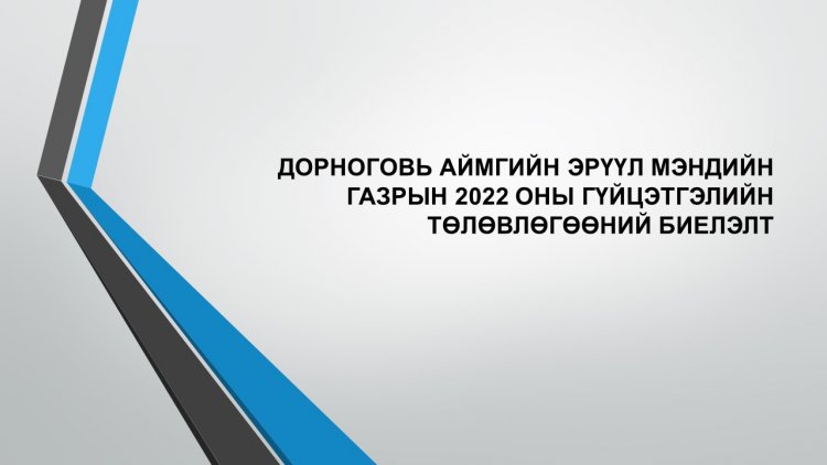 ДОРНОГОВЬ АЙМГИЙН ЭРҮҮЛ МЭНДИЙН ГАЗРЫН 2022 ОНЫ ГҮЙЦЭТГЭЛИЙН ТӨЛӨВЛӨГӨӨНИЙ БИЕЛЭЛТ