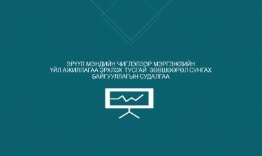 ЭРҮҮЛ МЭНДИЙН ЧИГЛЭЛЭЭР МЭРГЭЖЛИЙН ҮЙЛ АЖИЛЛАГАА ЭРХЛЭХ ТУСГАЙ  ЗӨВШӨӨРӨЛ СУНГАХ  БАЙГУУЛЛАГЫН СУДАЛГАА