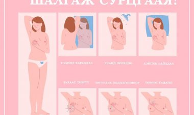 Бүсгүй та хөхөө хэрхэн өөрөө шалгах вэ?